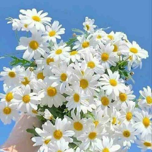 سهراب پاکزاد بمبه این عشقی که افتاده به جونم آتیشش تنده